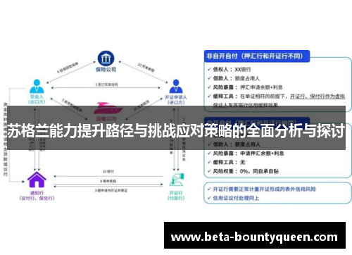 苏格兰能力提升路径与挑战应对策略的全面分析与探讨