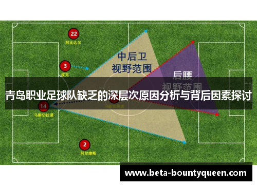 青岛职业足球队缺乏的深层次原因分析与背后因素探讨